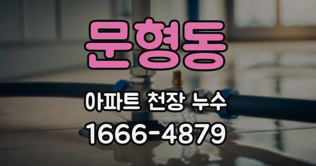 문형동 아파트 천장 누수