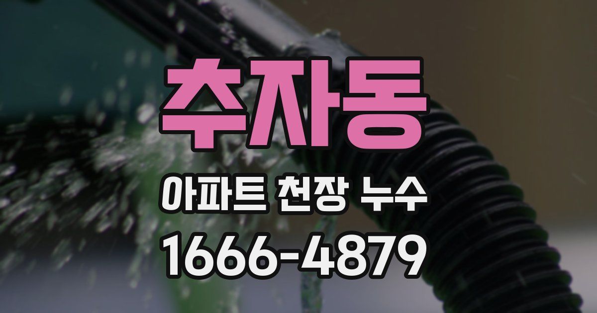 추자동 아파트 천장 누수