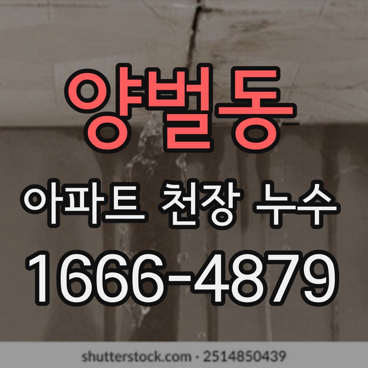 양벌동 아파트 천장 누수