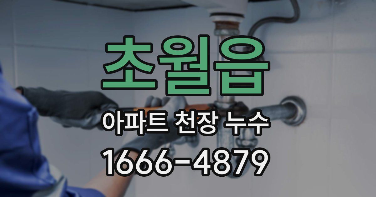 초월읍 아파트 천장 누수