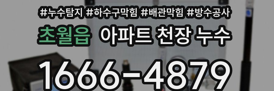 초월읍 아파트 천장 누수