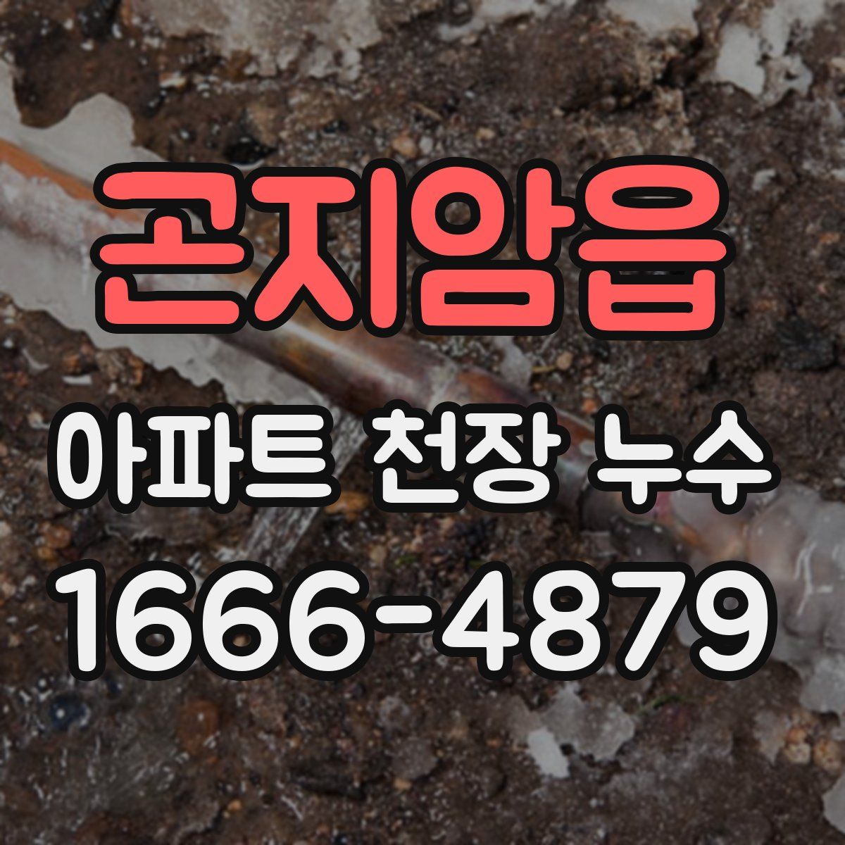 곤지암읍 아파트 천장 누수