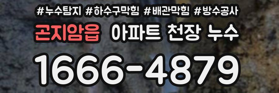 곤지암읍 아파트 천장 누수