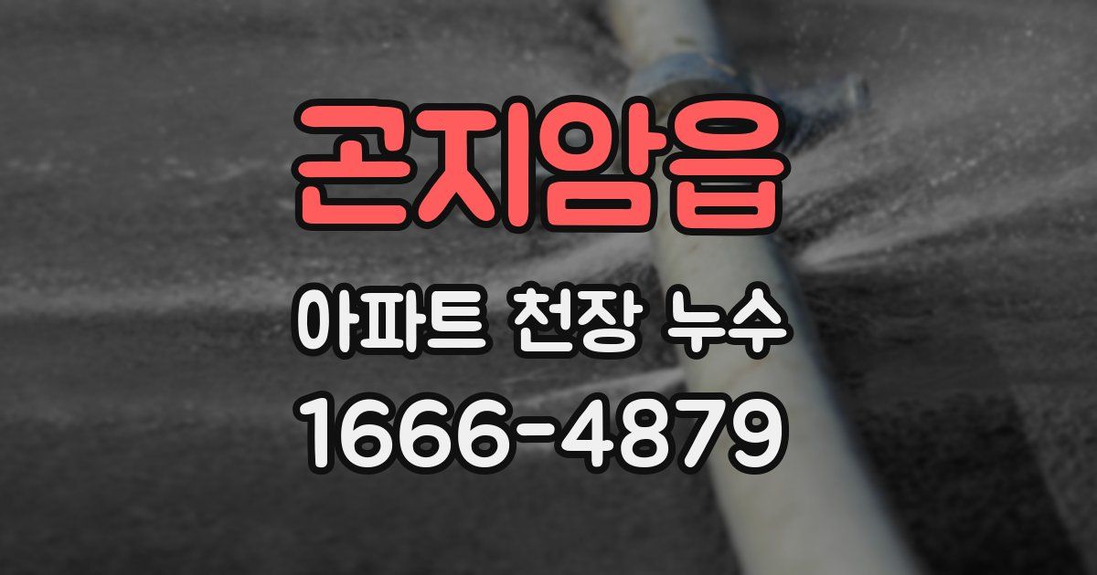 곤지암읍 아파트 천장 누수