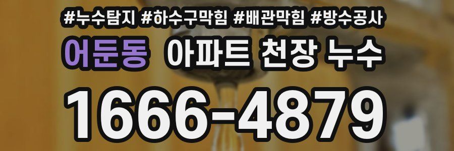 어둔동 아파트 천장 누수