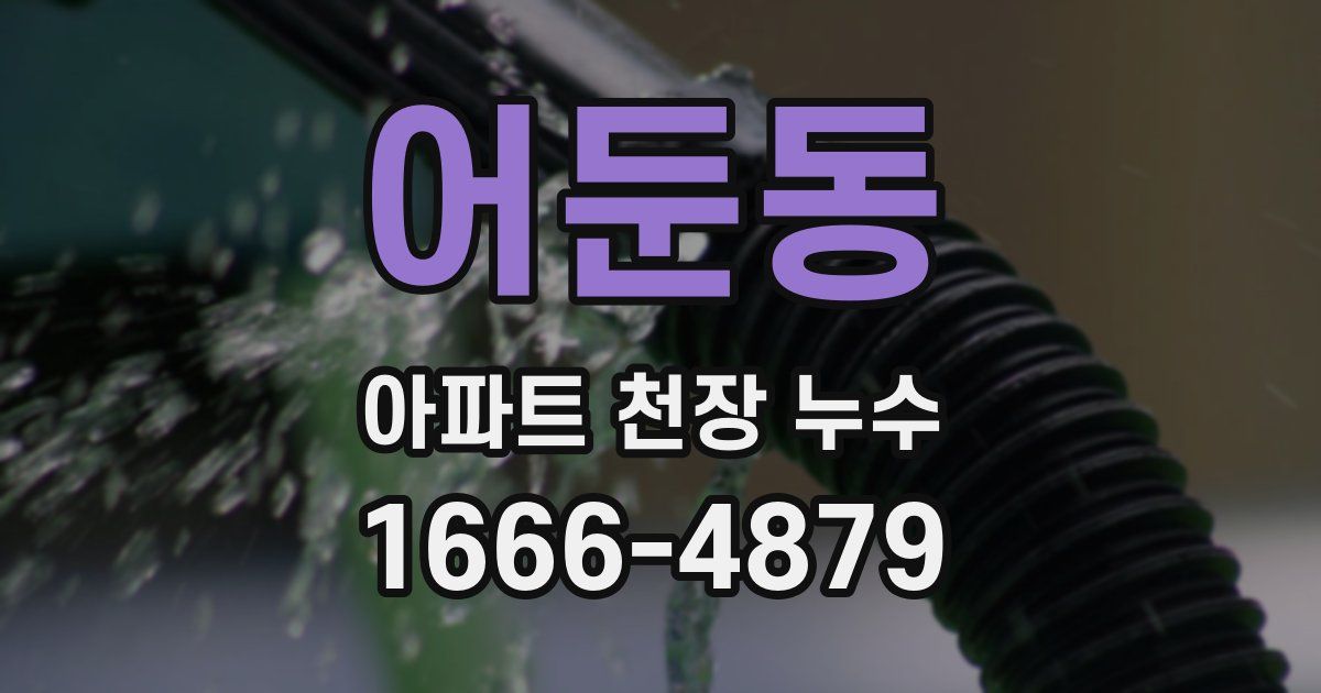 어둔동 아파트 천장 누수