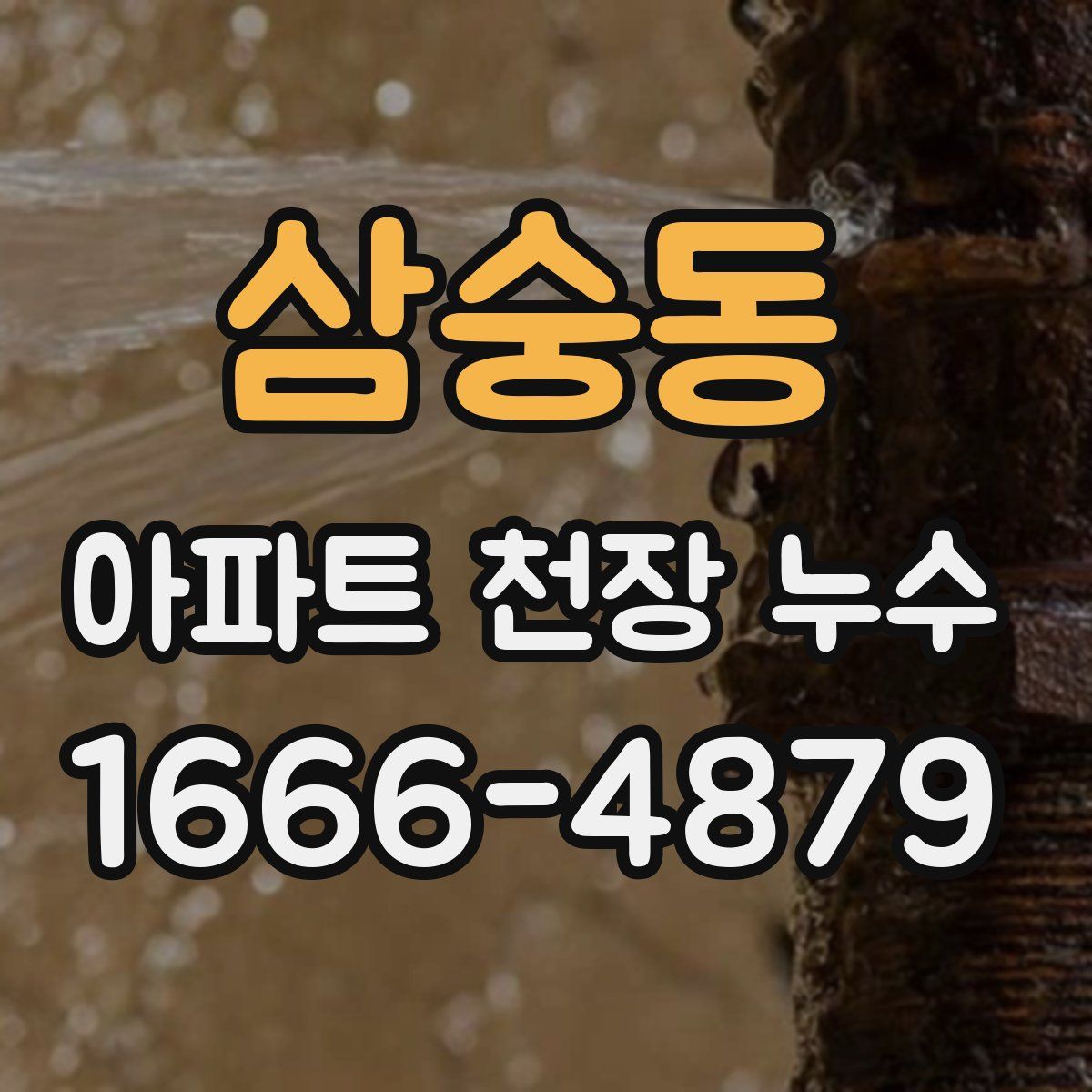 삼숭동 아파트 천장 누수