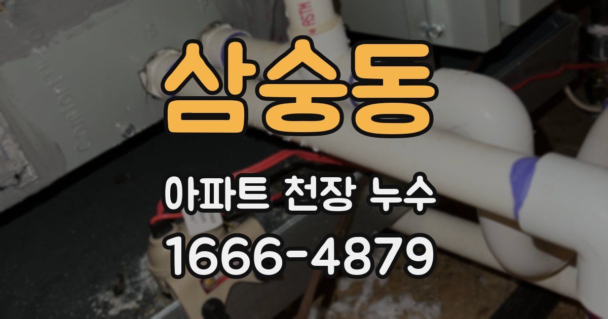 삼숭동 아파트 천장 누수