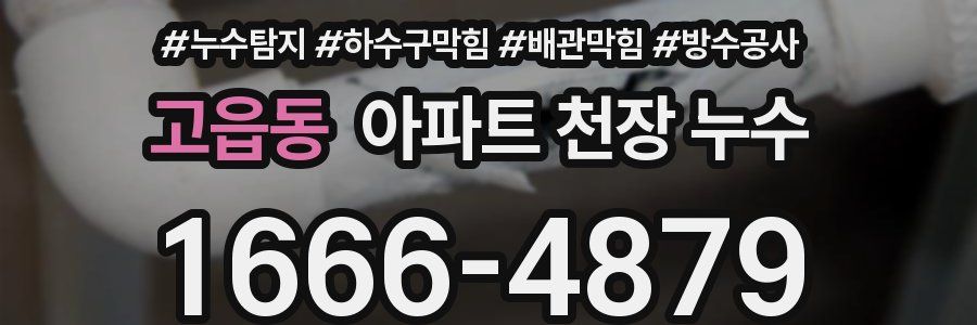 고읍동 아파트 천장 누수