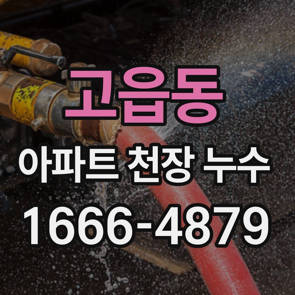 고읍동 아파트 천장 누수