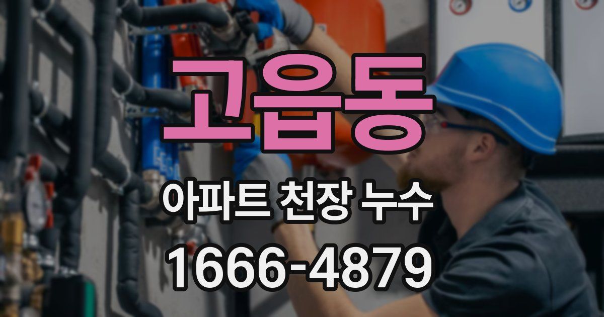 고읍동 아파트 천장 누수
