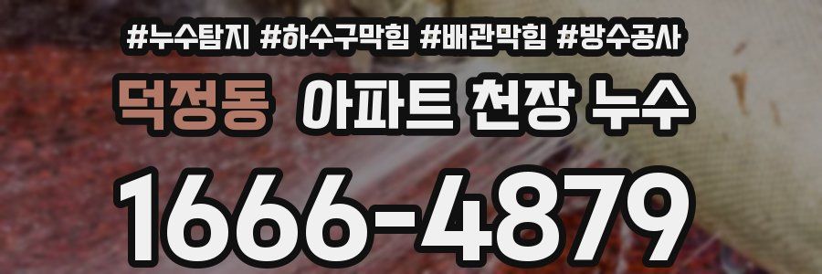 덕정동 아파트 천장 누수