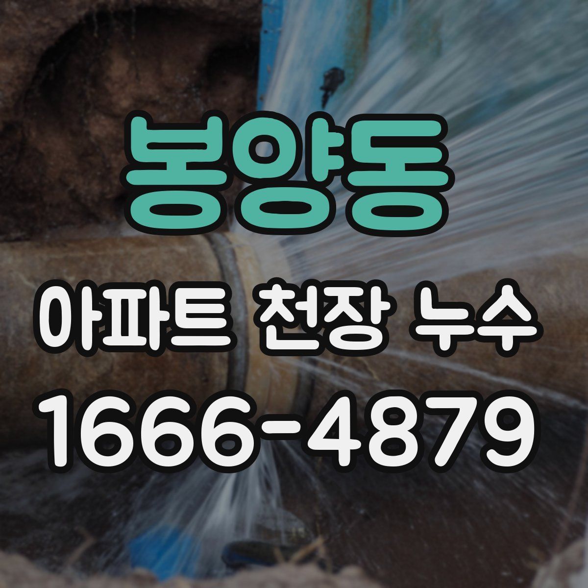 봉양동 아파트 천장 누수