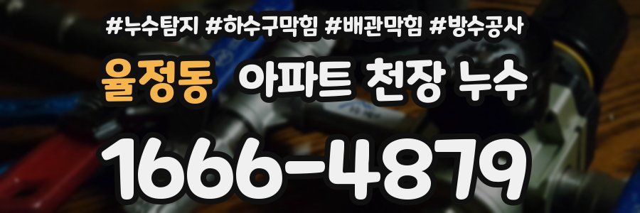 율정동 아파트 천장 누수