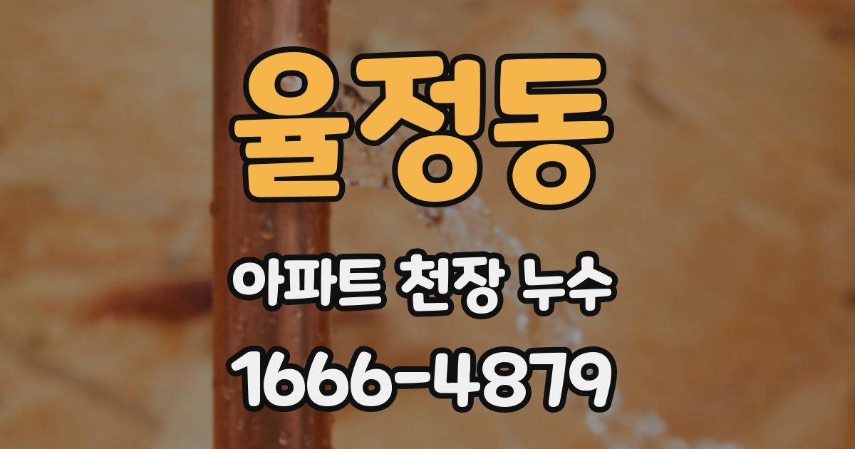 율정동 아파트 천장 누수