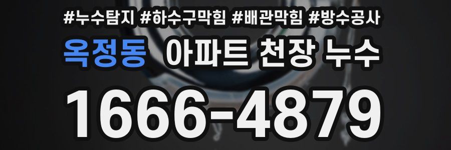 옥정동 아파트 천장 누수