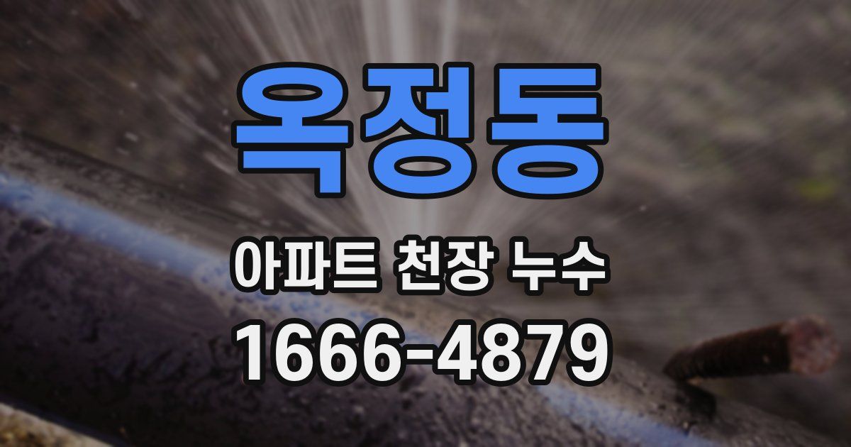 옥정동 아파트 천장 누수