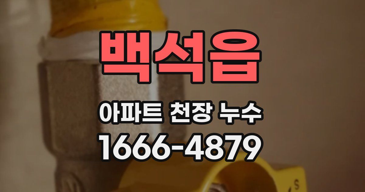 백석읍 아파트 천장 누수