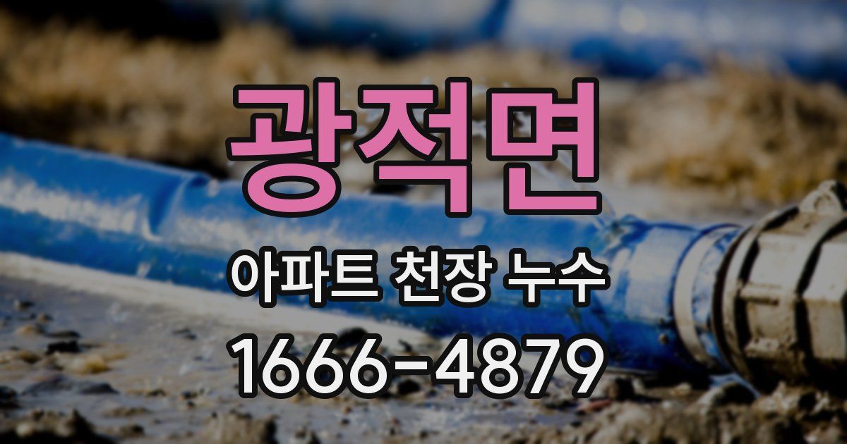 광적면 아파트 천장 누수