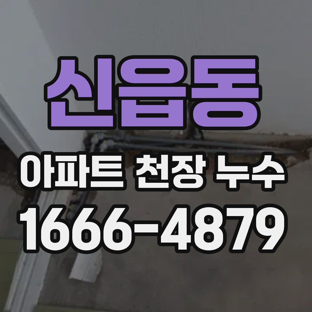 신읍동 아파트 천장 누수