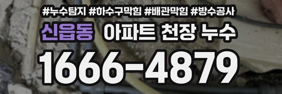 신읍동 아파트 천장 누수
