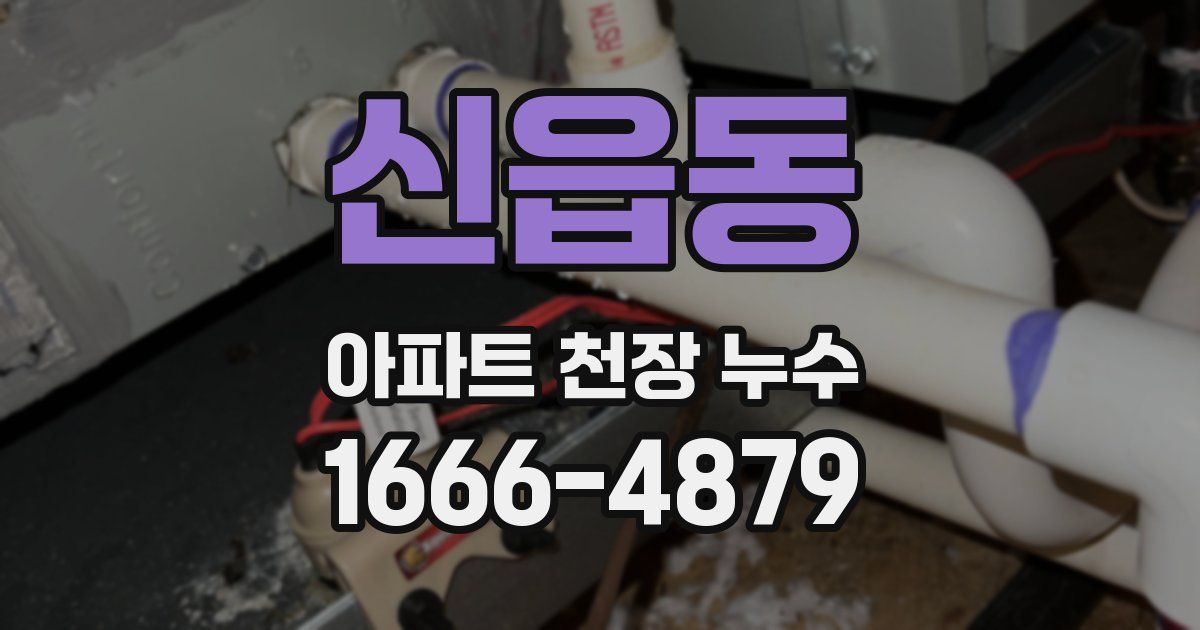 신읍동 아파트 천장 누수