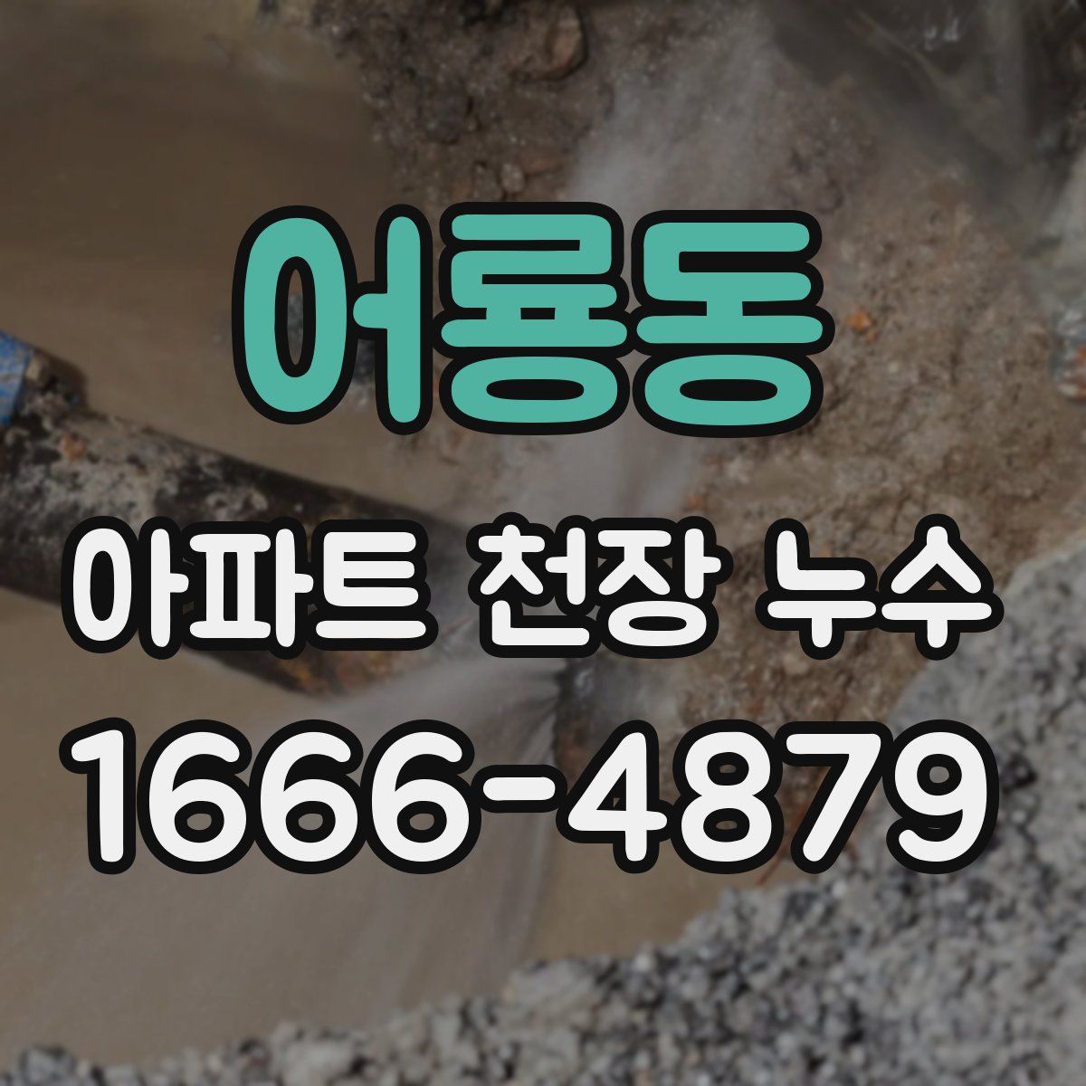 어룡동 아파트 천장 누수