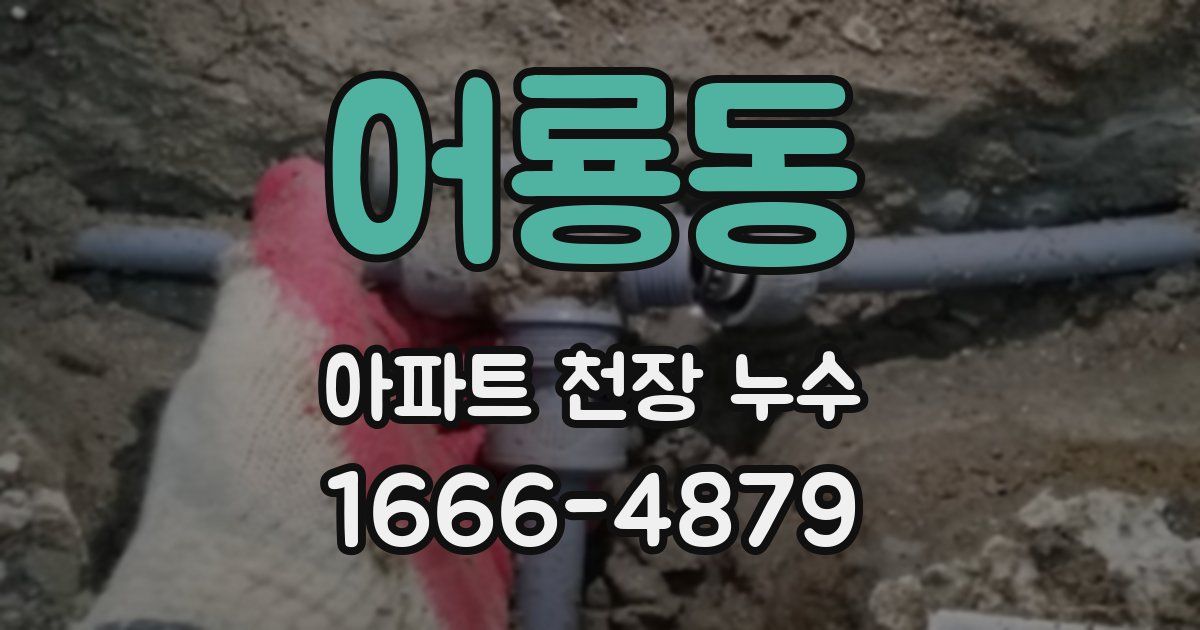 어룡동 아파트 천장 누수