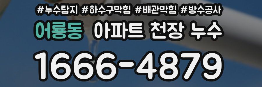 어룡동 아파트 천장 누수