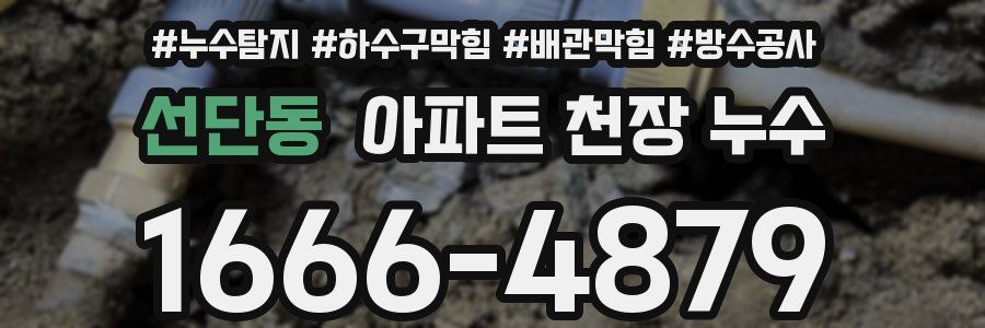 선단동 아파트 천장 누수