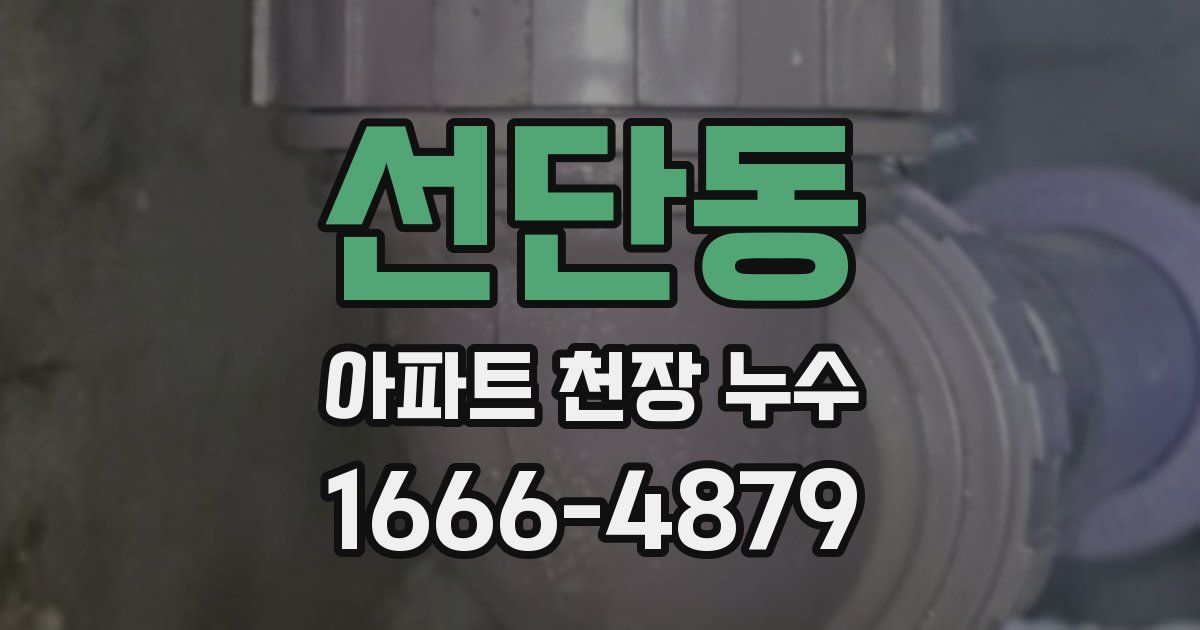 선단동 아파트 천장 누수