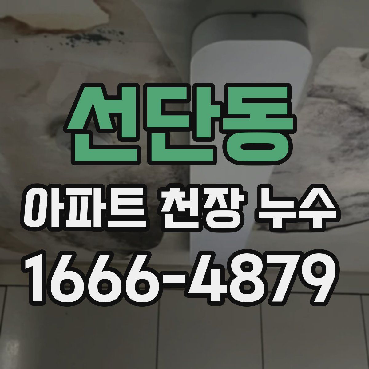 선단동 아파트 천장 누수