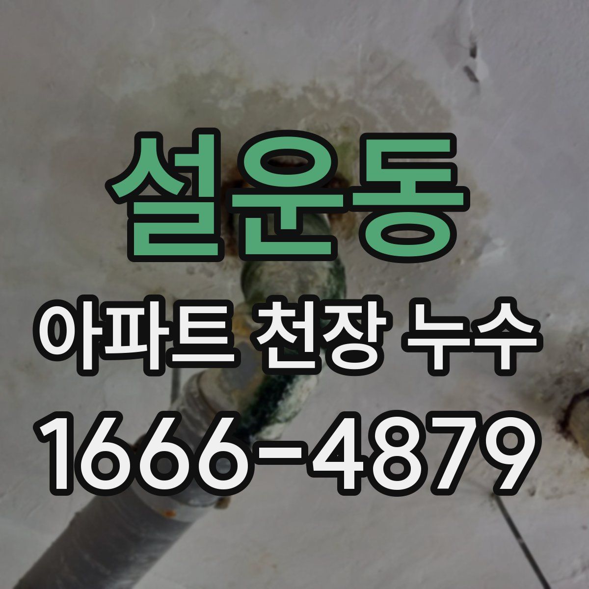 설운동 아파트 천장 누수