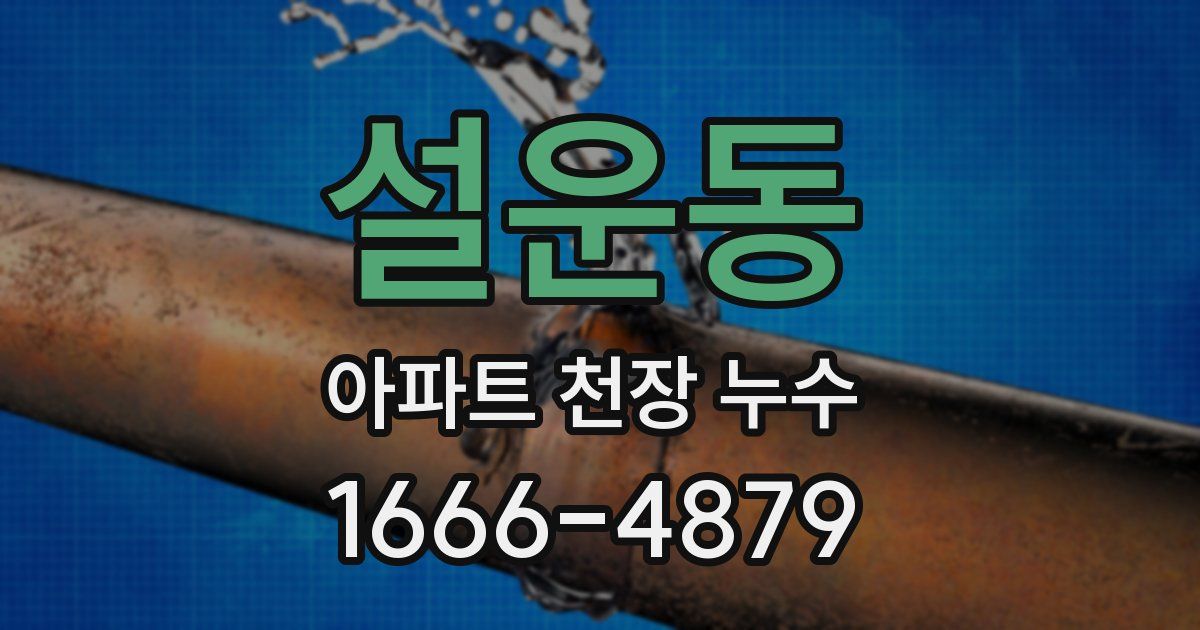 설운동 아파트 천장 누수