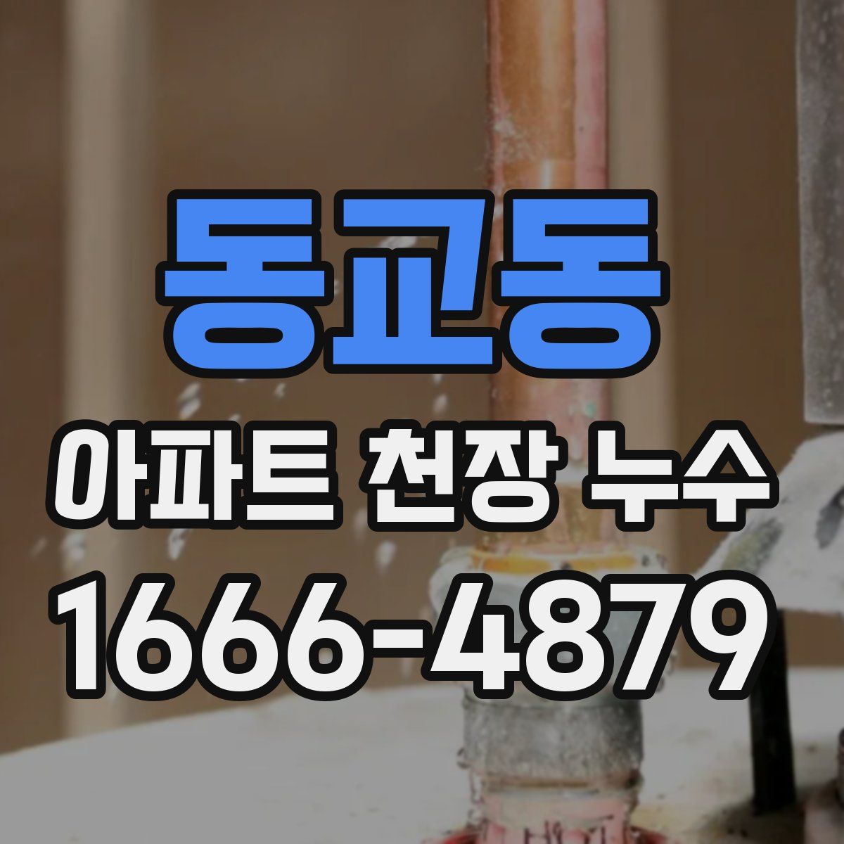 동교동 아파트 천장 누수