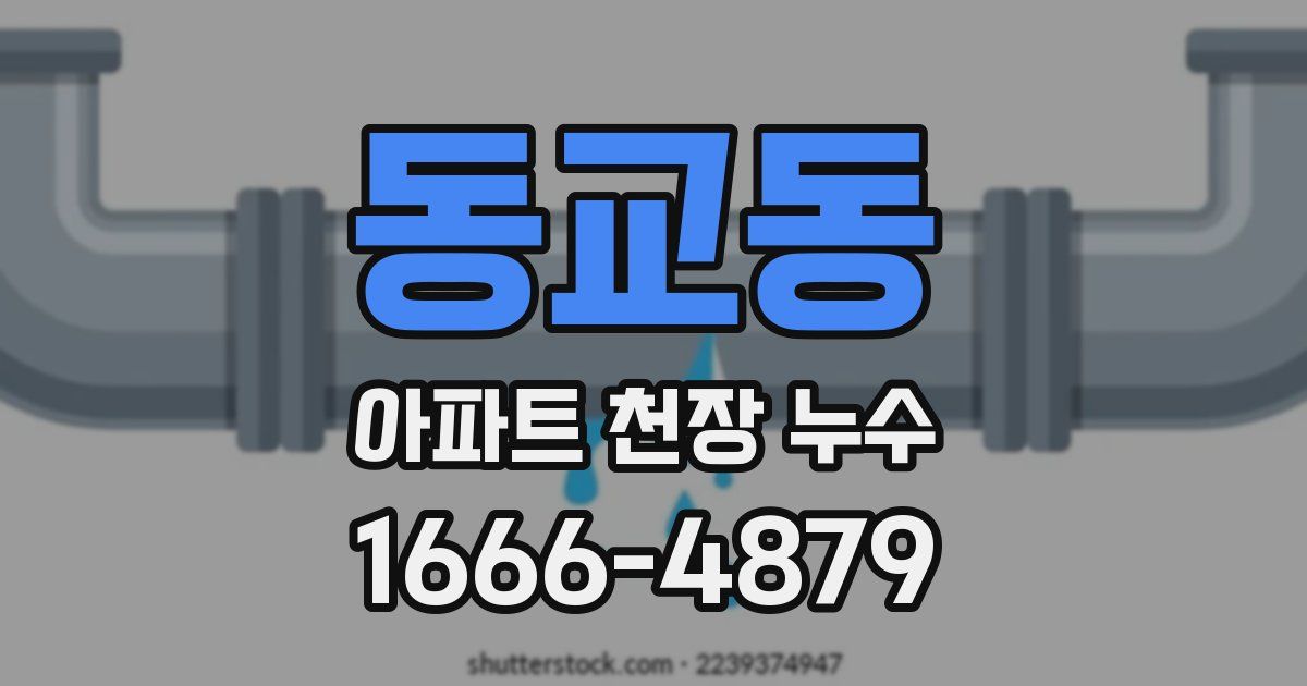 동교동 아파트 천장 누수