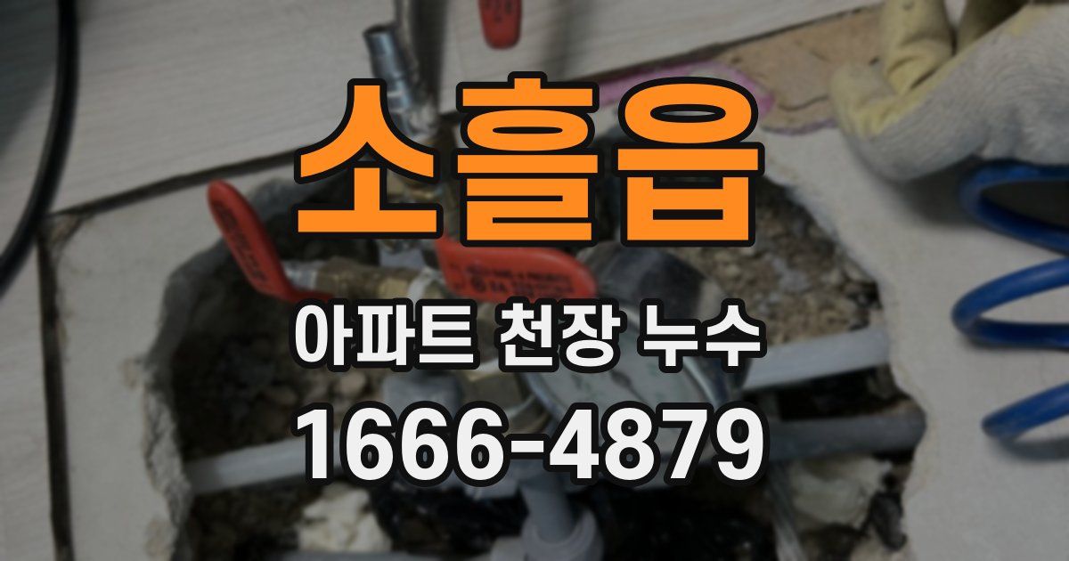 소흘읍 아파트 천장 누수