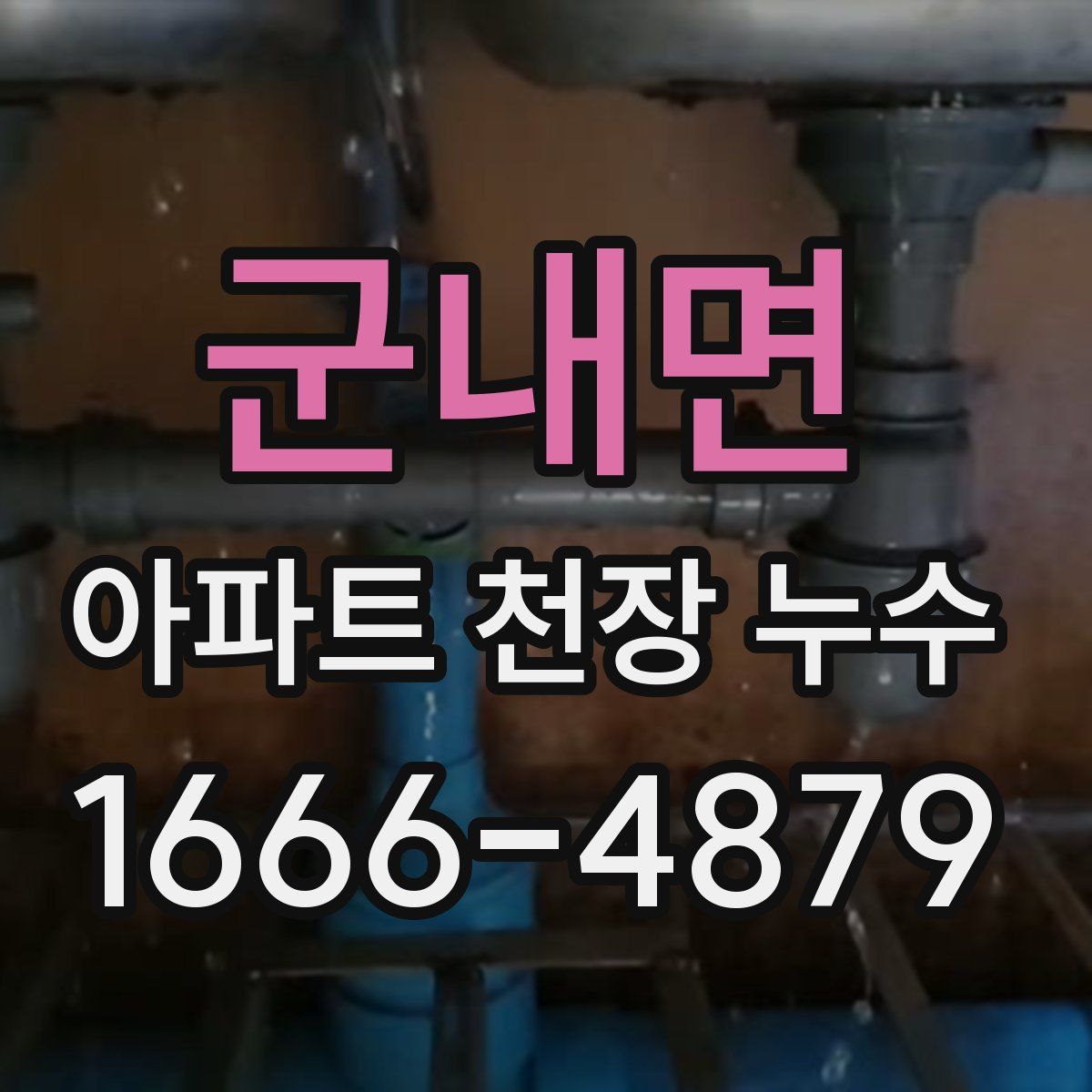 군내면 아파트 천장 누수
