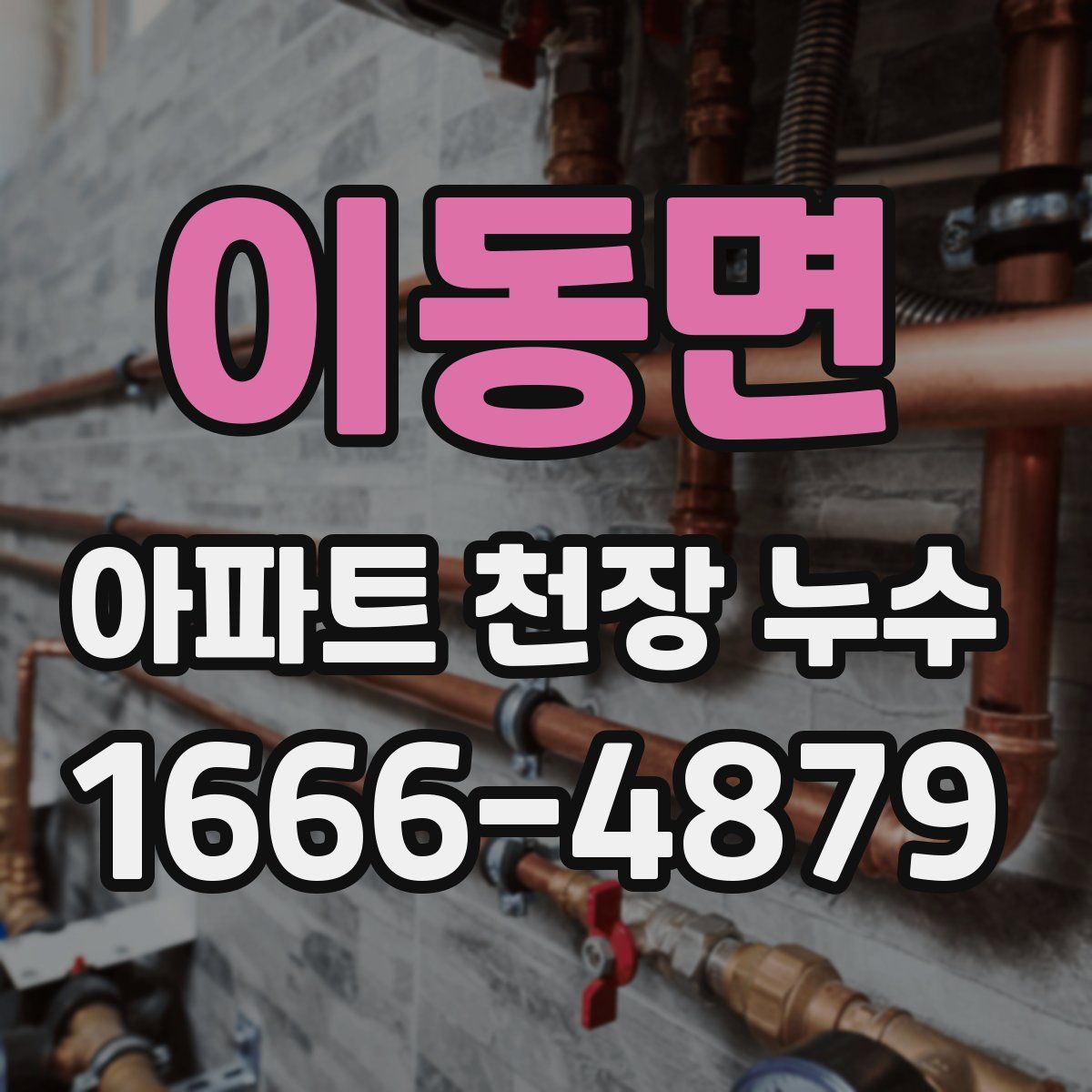 이동면 아파트 천장 누수