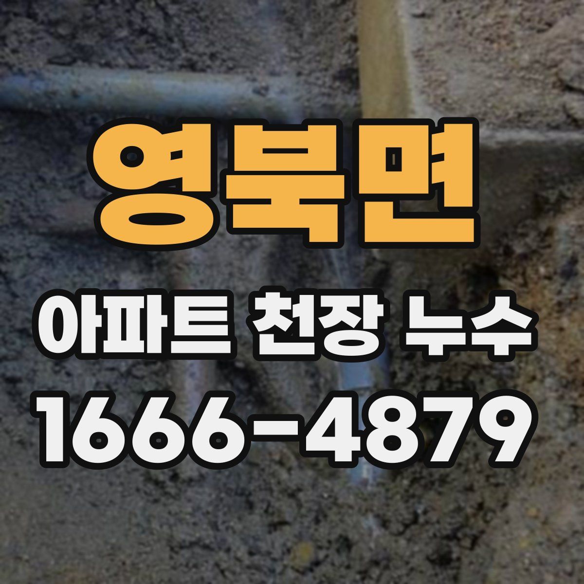 영북면 아파트 천장 누수