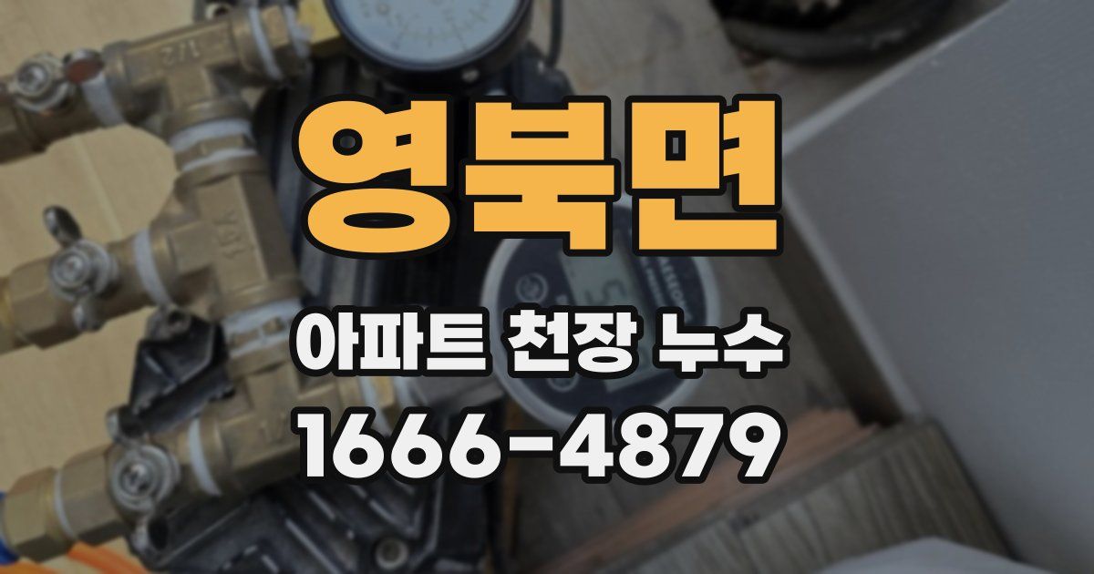 영북면 아파트 천장 누수