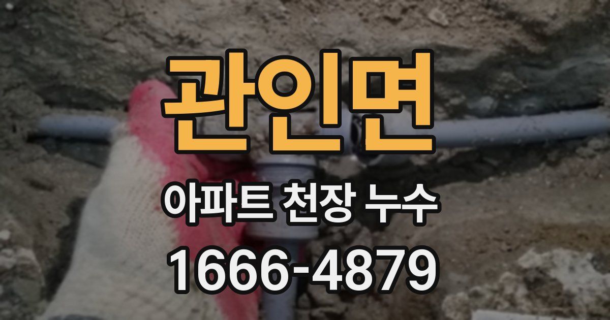 관인면 아파트 천장 누수