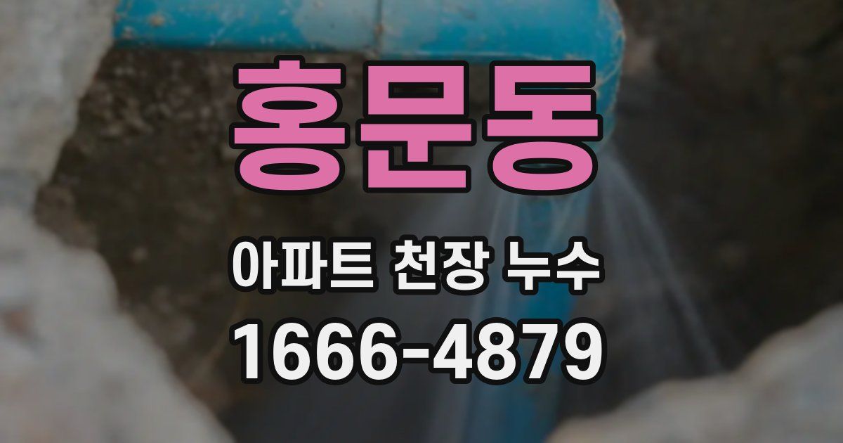 홍문동 아파트 천장 누수
