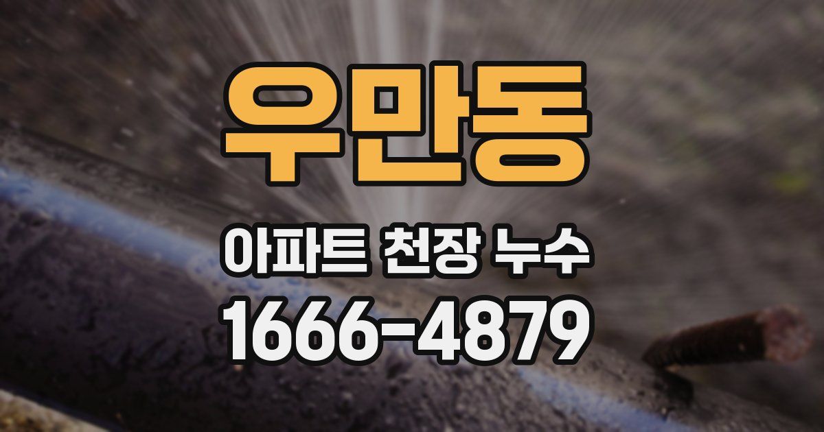 우만동 아파트 천장 누수