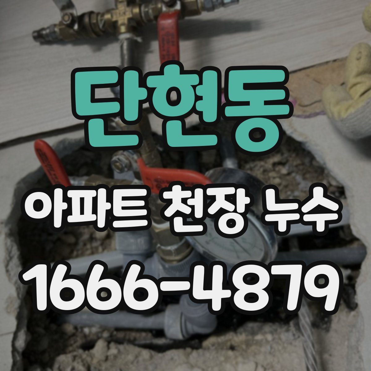 단현동 아파트 천장 누수