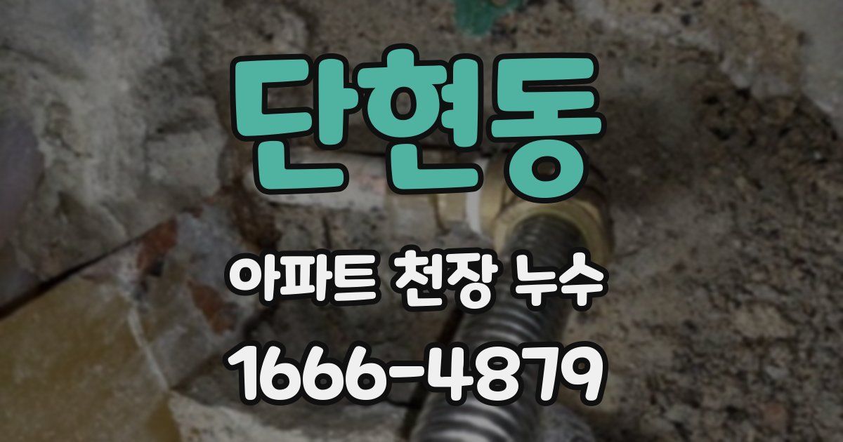 단현동 아파트 천장 누수