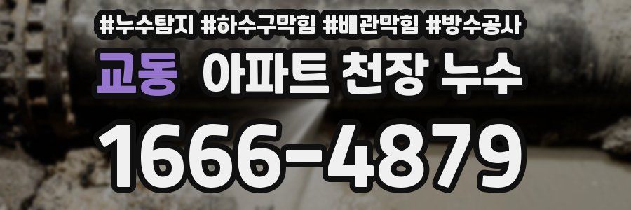 교동 아파트 천장 누수