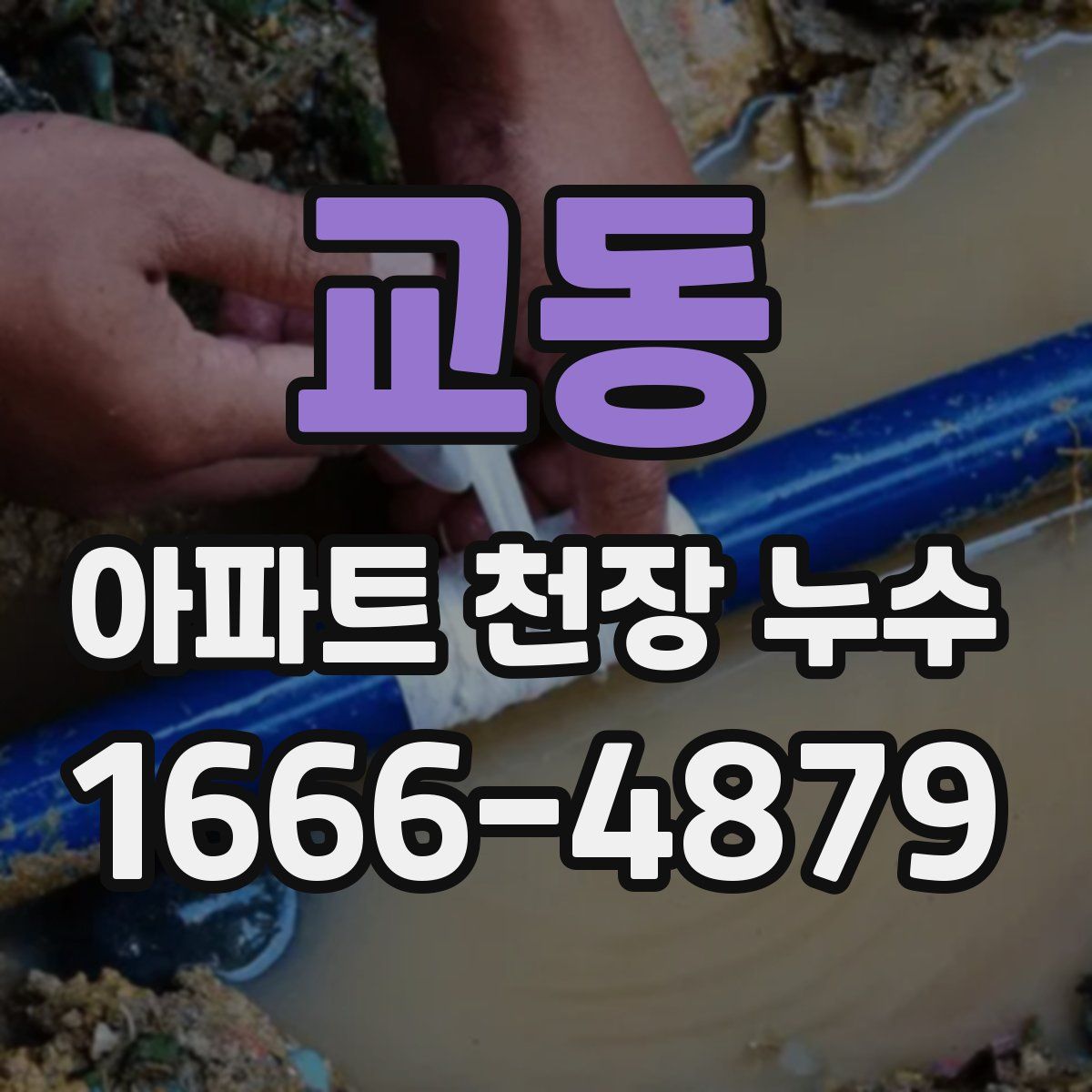 교동 아파트 천장 누수