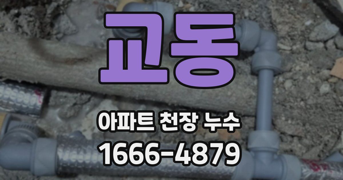 교동 아파트 천장 누수