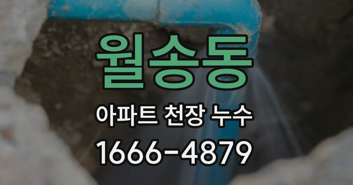 월송동 아파트 천장 누수